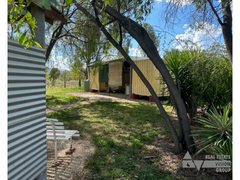 Zamia Street, Willows QLD 4702