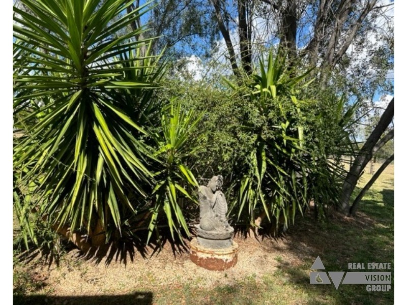 Zamia Street, Willows QLD 4702