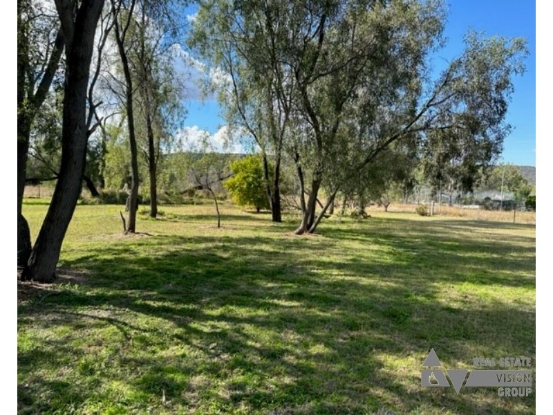 Zamia Street, Willows QLD 4702