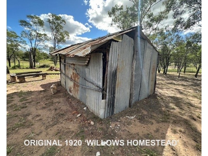 1 Golden Willow Dr, Willows QLD 4702