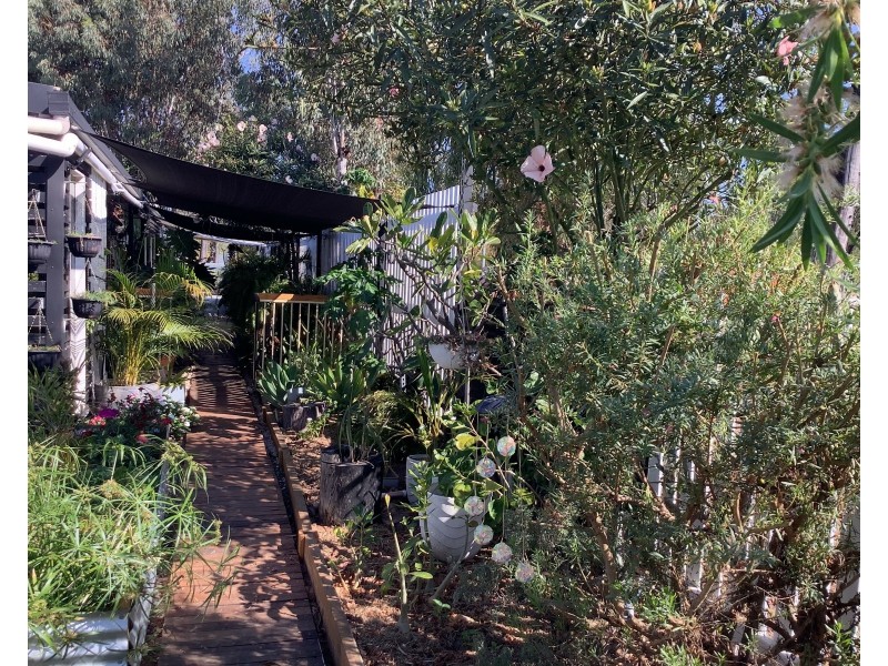 5 Clifton Parr St, Willows QLD 4702