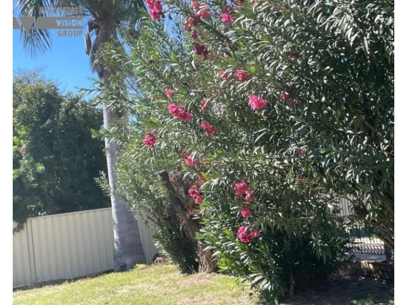 23 Bottletree Ave, Blackwater QLD 4717