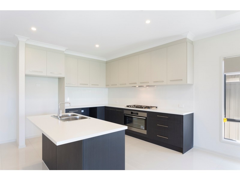 18 Daly Street, Kurralta Park SA 5037