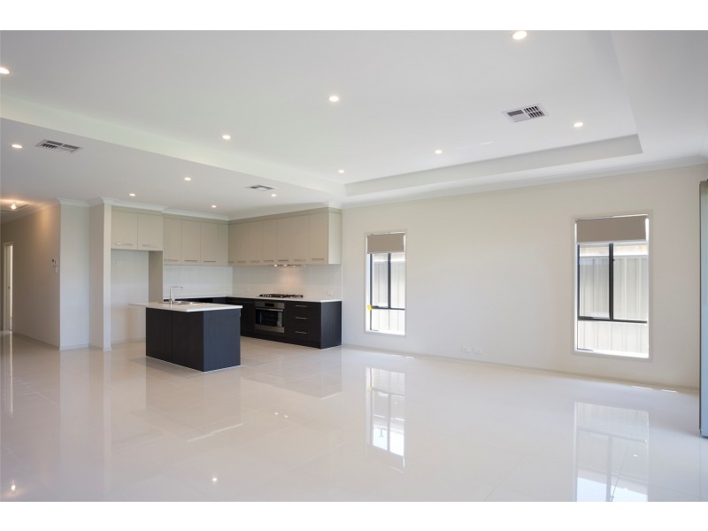 18 Daly Street, Kurralta Park SA 5037