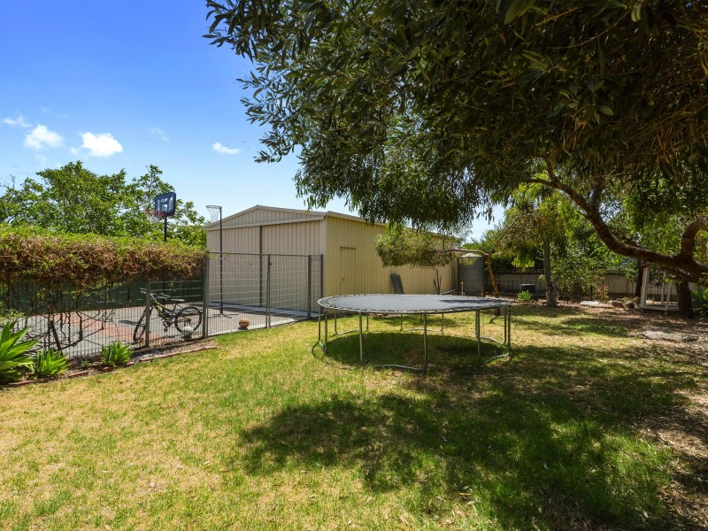 7 Murdoch Avenue, North Plympton SA 5037