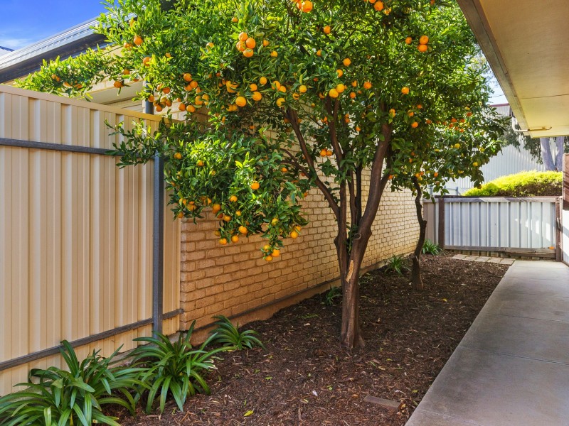 3/21 Galway Ave, Marleston SA 5033