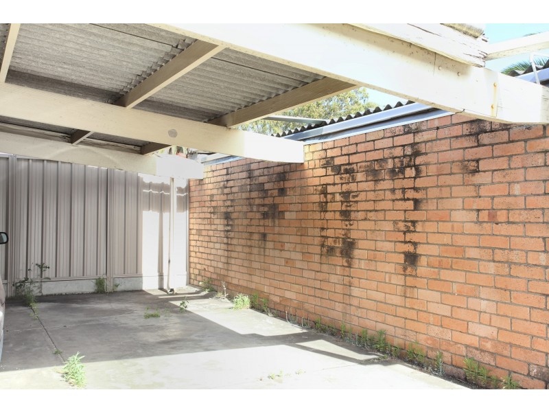 3/7 Daphne St, Kurralta Park SA 5037