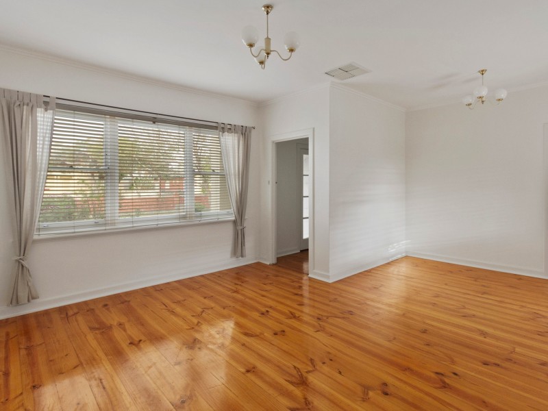 56 Capper Street, Camden Park SA 5038