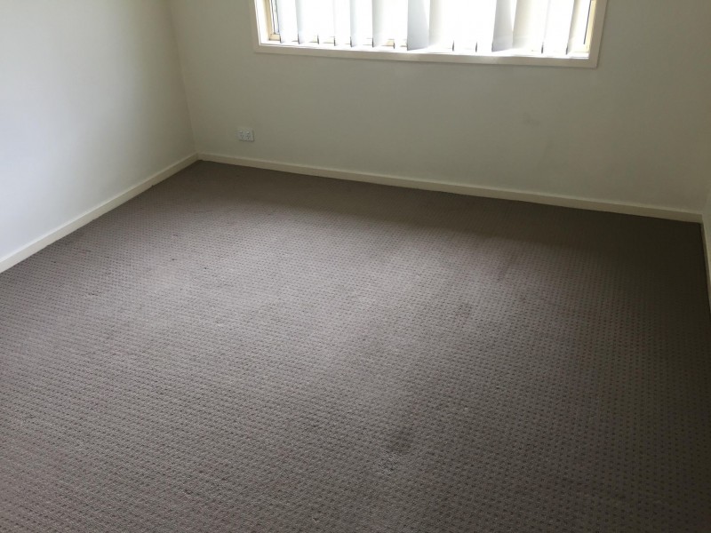 19 Paradise Close, Plumpton NSW 2761