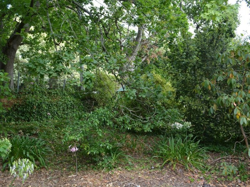 44A Avenue Road, Stirling SA 5152