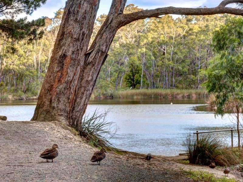 4 Woorabinda Drive, Stirling SA 5152