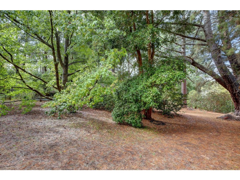 10 Suffolk Road, Aldgate SA 5154