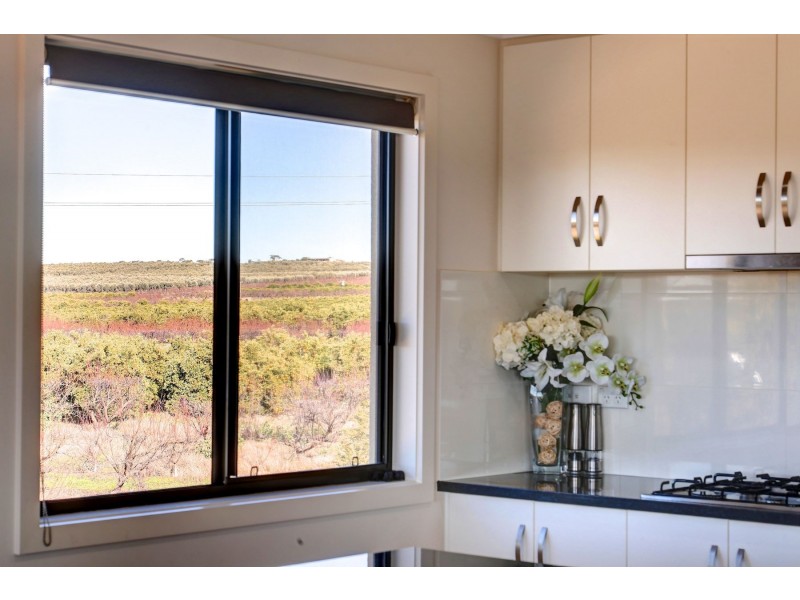 2 Murray Avenue, Woodlane SA 5238