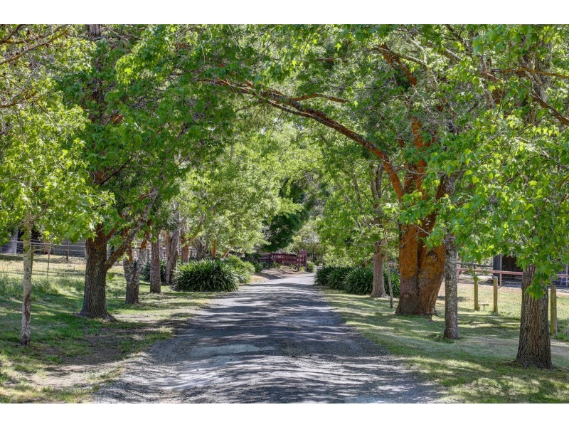 51 Darby Lane (adj. Hahndorf), Echunga SA 5153