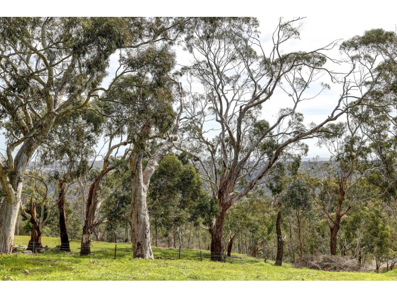 141 Wildheath Rise, Coromandel East SA 5157