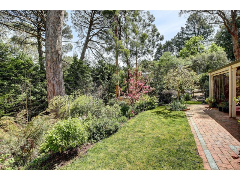 16 Ayers Hill Road, Stirling SA 5152