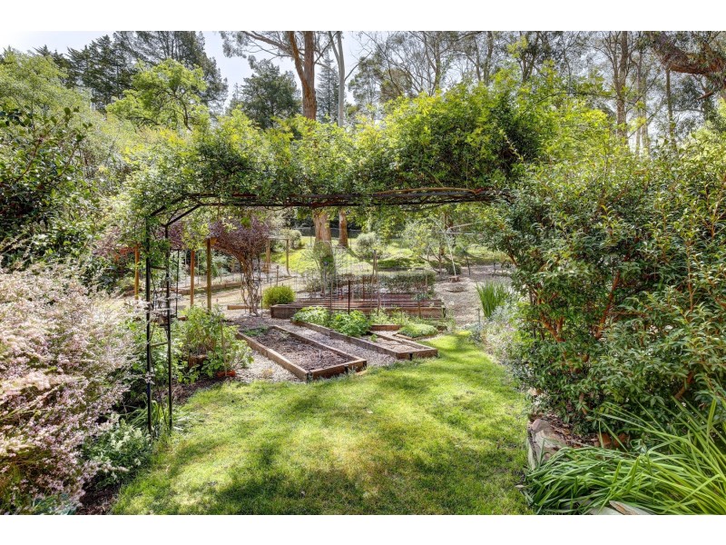 16 Ayers Hill Road, Stirling SA 5152