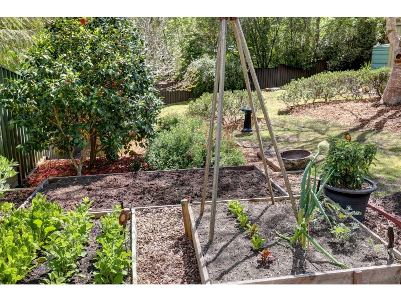 14 Woorabinda Drive, Stirling SA 5152