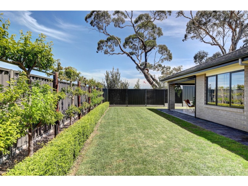 45 Silhouette Street, Mount Barker SA 5251