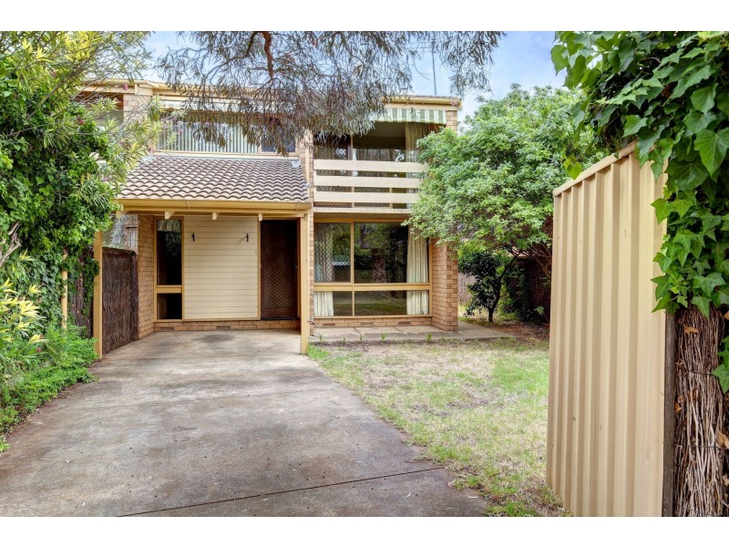 30 Montpelier Street, Parkside SA 5063