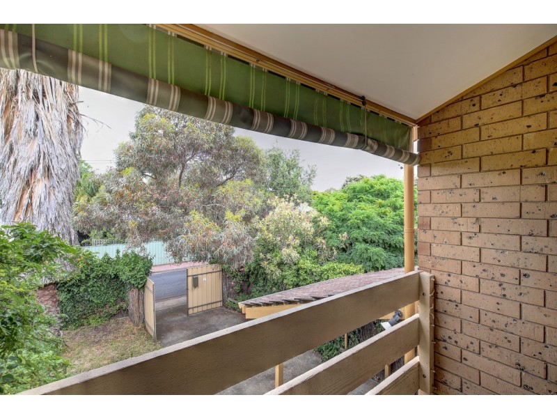 30 Montpelier Street, Parkside SA 5063