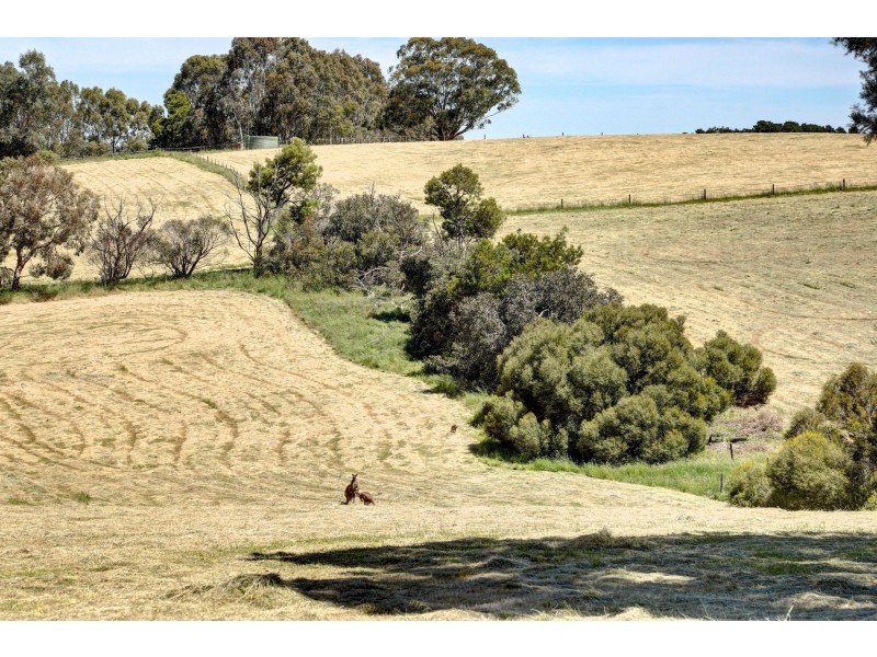 466 Kangaroo Reef Road, Hahndorf SA 5245