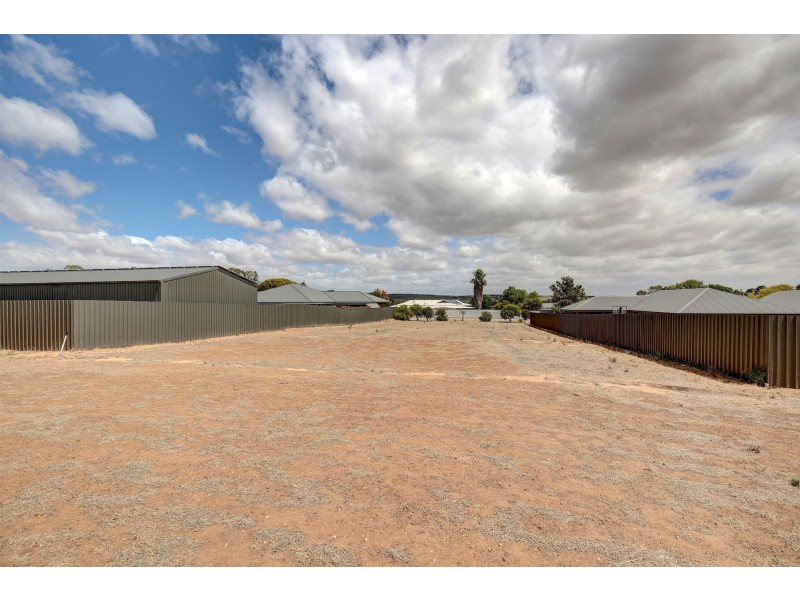 15 Avoca Road, Murray Bridge SA 5253