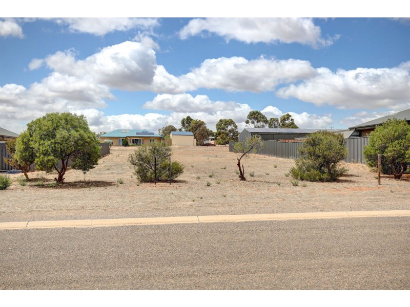 15 Avoca Road, Murray Bridge SA 5253