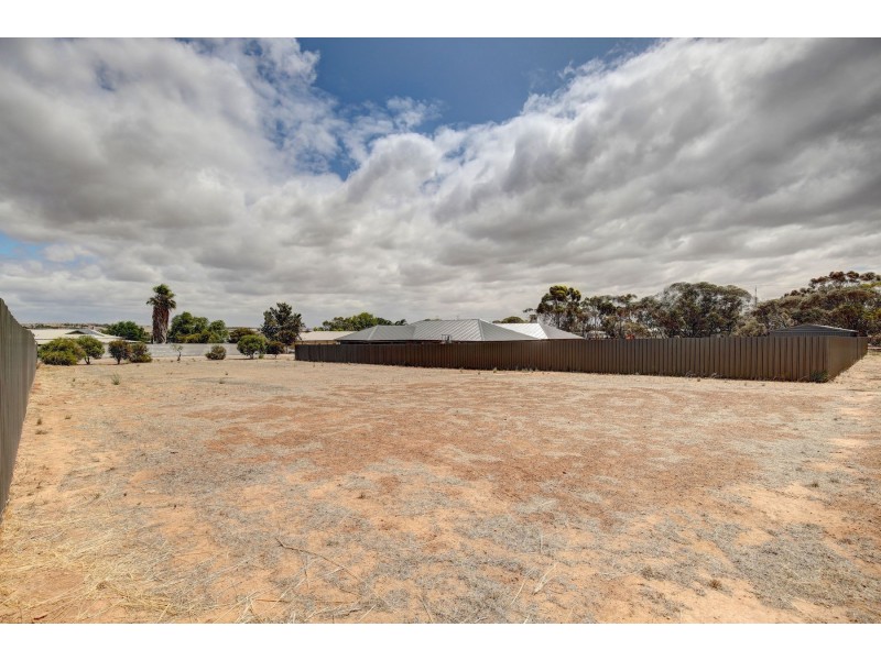 15 Avoca Road, Murray Bridge SA 5253