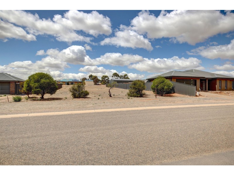 15 Avoca Road, Murray Bridge SA 5253