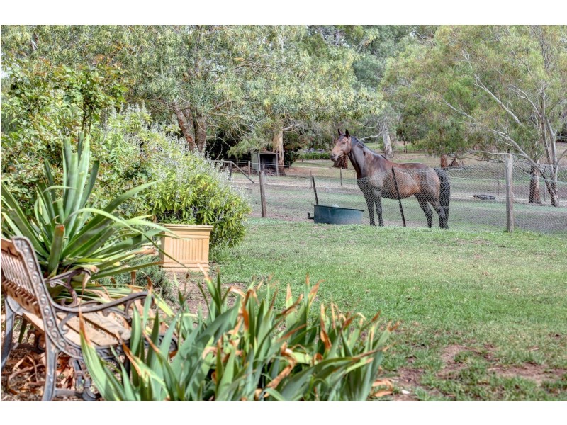 48 Springs Road, Mount Barker SA 5251