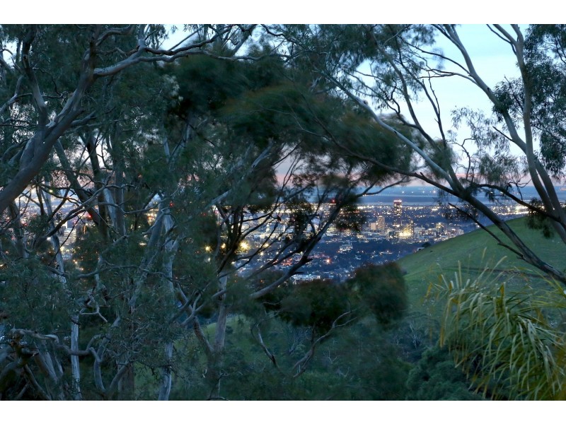 9A Francis Street, Belair SA 5052