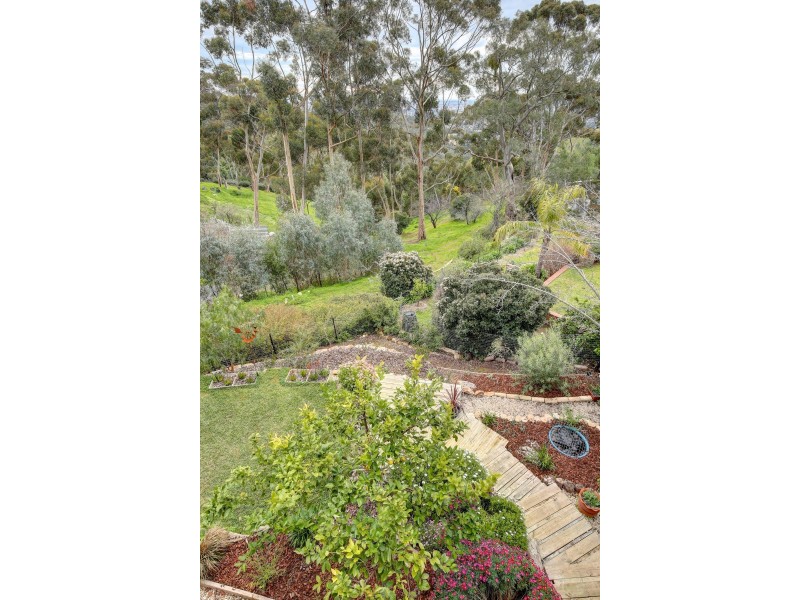 9A Francis Street, Belair SA 5052