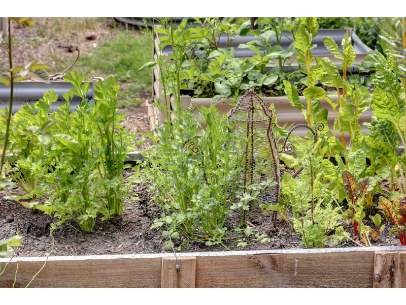 47 Ludgate Hill Road, Aldgate SA 5154