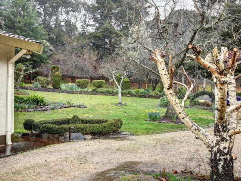 42 Merrion Terrace, Stirling SA 5152