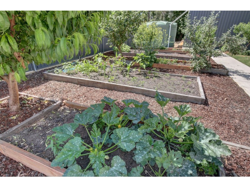 8A Battunga Road, Echunga SA 5153