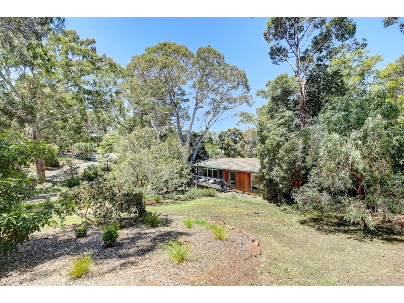 8 Redgum Drive, Belair SA 5052