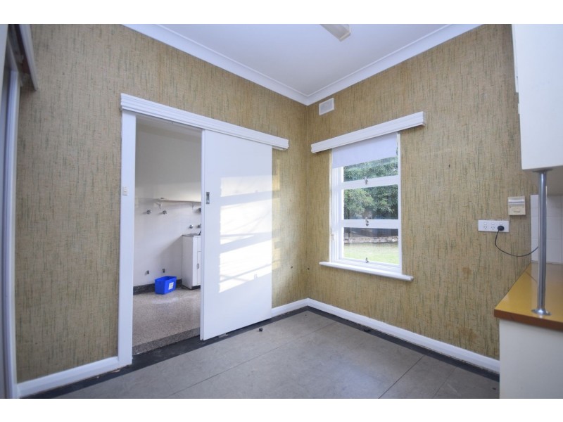 16 Durham Avenue, Lockleys SA 5032