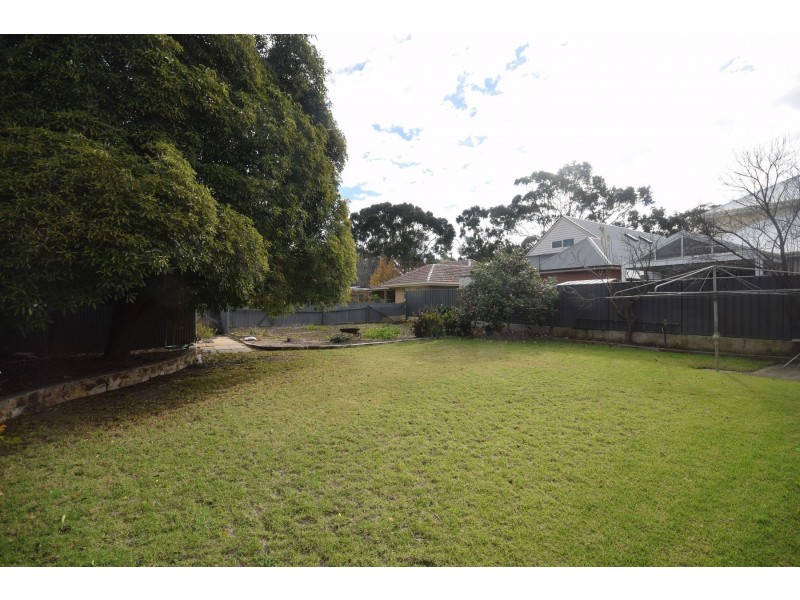 16 Durham Avenue, Lockleys SA 5032