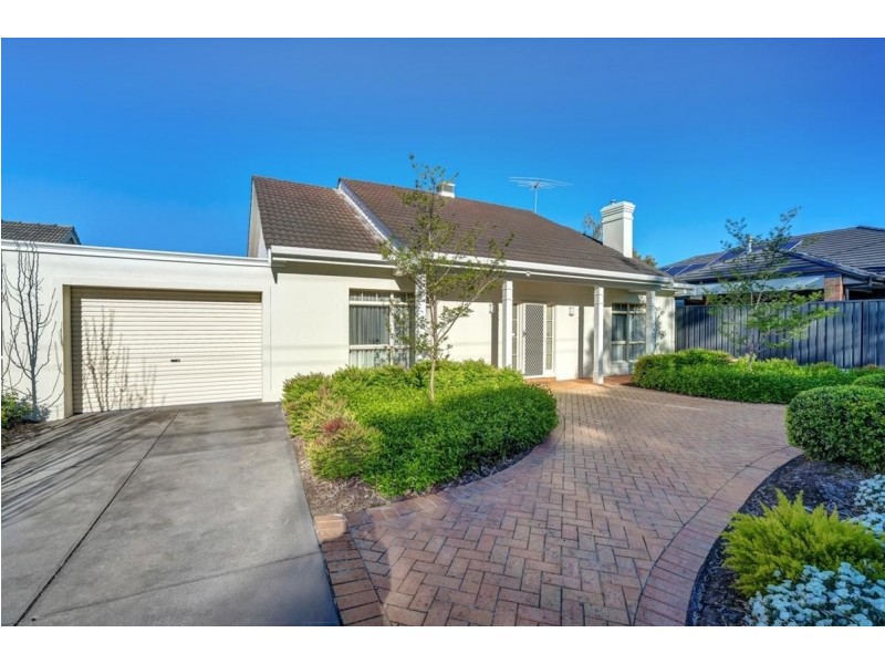 43 Rutland Avenue, Lockleys SA 5032