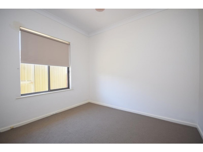 8 Terminus Street, Grange SA 5022