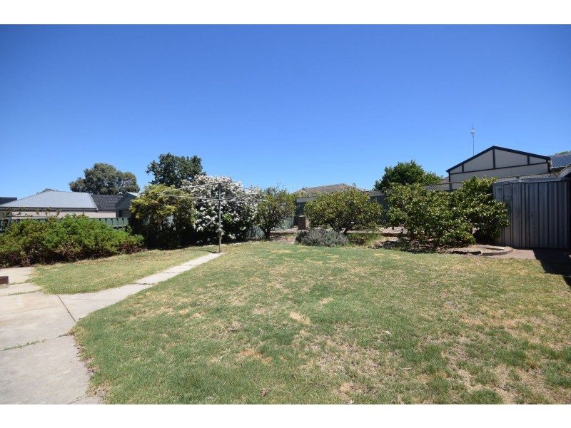 24 Clyde Avenue, Lockleys SA 5032