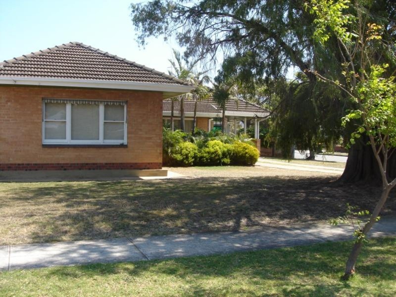24 Clyde Avenue, Lockleys SA 5032