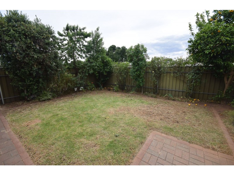 62 Torrens Road, Renown Park SA 5008