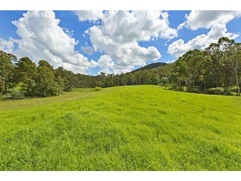 1126 Dooralong Road, Dooralong NSW 2259