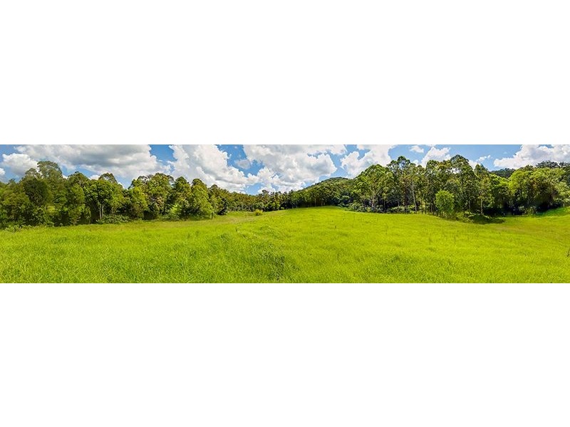 1126 Dooralong Road, Dooralong NSW 2259