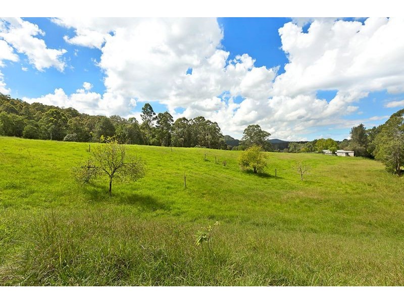 1126 Dooralong Road, Dooralong NSW 2259