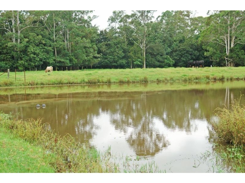 619 Jilliby Road, Jilliby NSW 2259