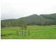 619 Jilliby Road, Jilliby NSW 2259