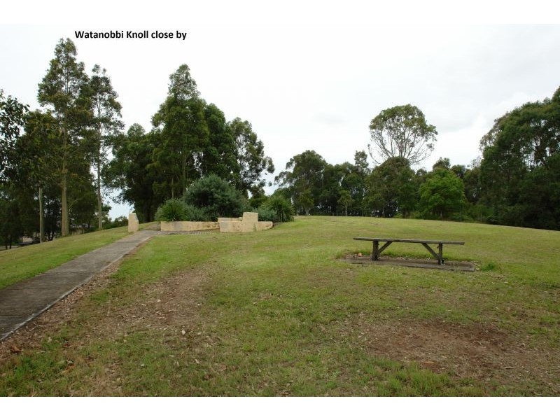 175 Brittania Drive, Watanobbi NSW 2259